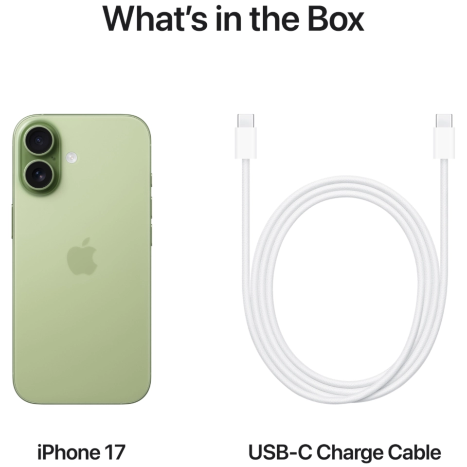 iPhone 17 eSIM فقط بسعة 256 جيجابايت أخضر مريمي