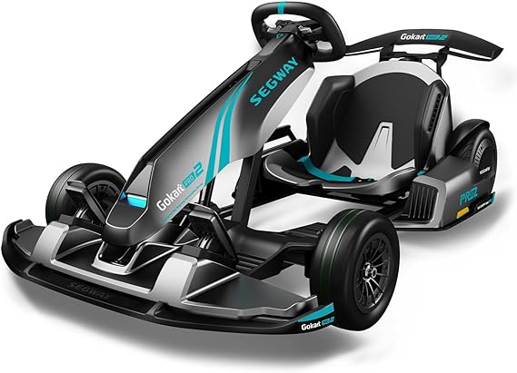 Ninebot Electric GoKart Pro 2